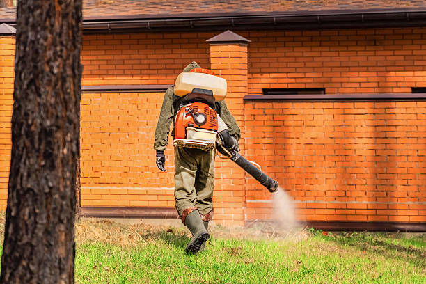 Trusted Rodent Control service in Cicero, IL - Nex Pest Control
